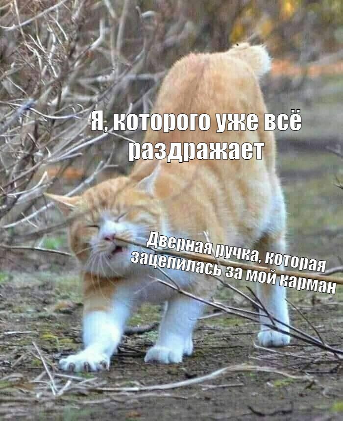   !