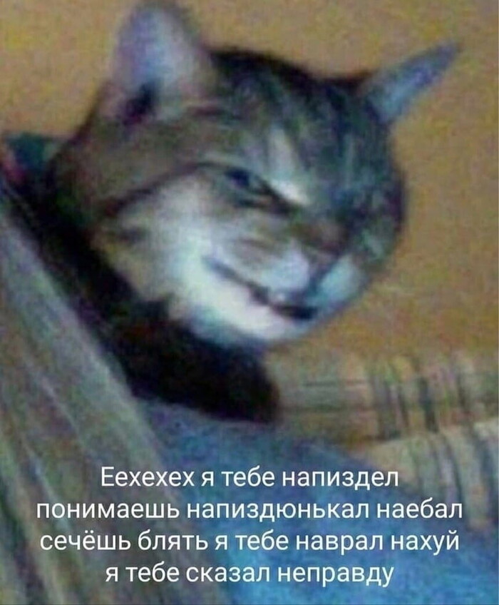 Ответ на пост «Владимир Путин: Повышение НДС даст возможность удержать параметры экономики и создать задел на будущее»