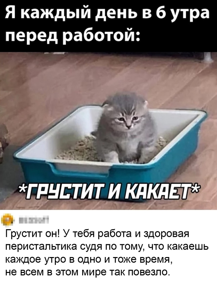 Ты радоваться должен