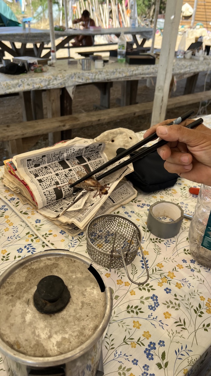 ����� �� �������. ���������