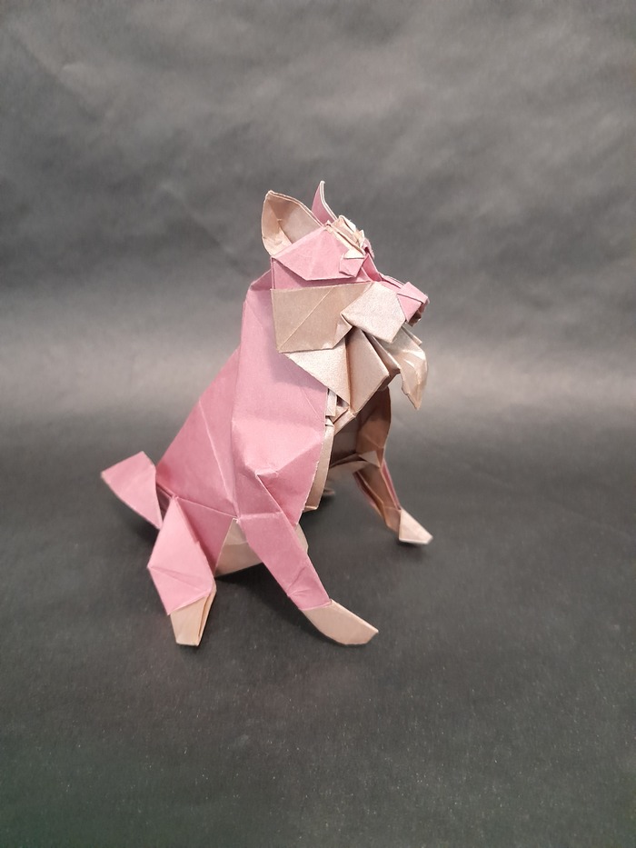 Origami Shiba Inu (Shun Kato)