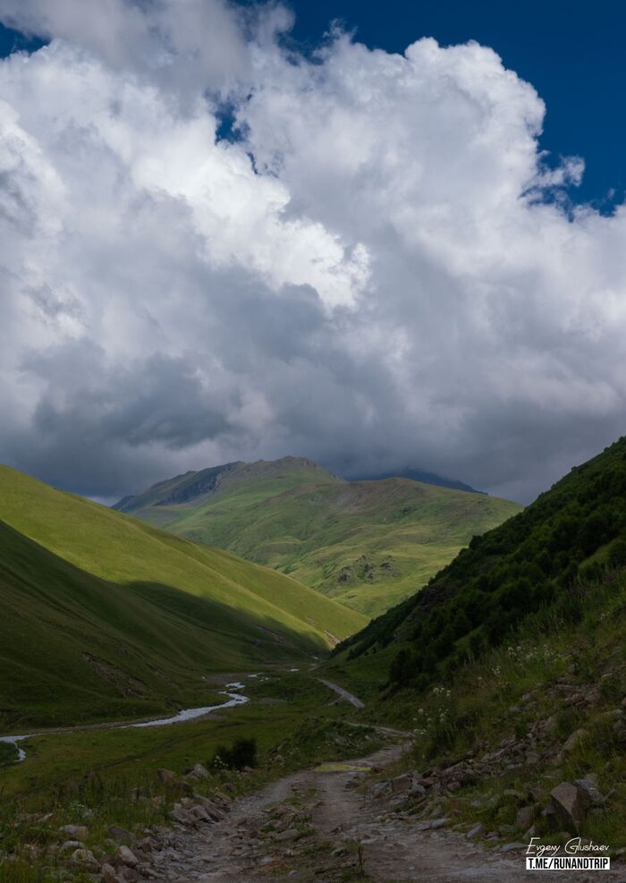 ������ ���� ������