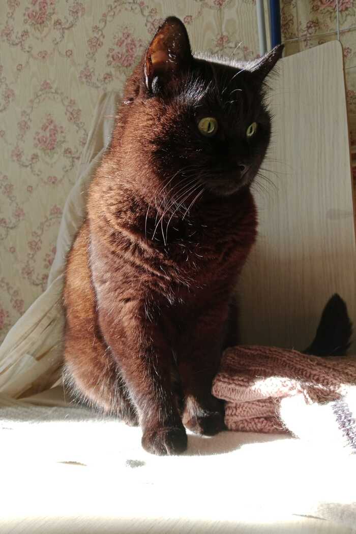 ����� ������, ��� ���� ����  ���