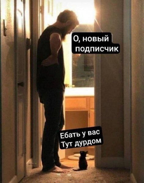 Дурдом