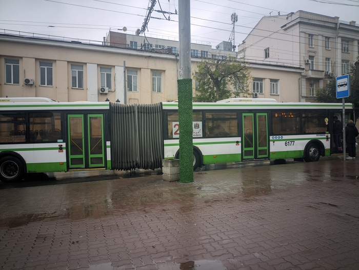 Гармошка :-)) Ностальгическое вернулось на улицы Ростова.