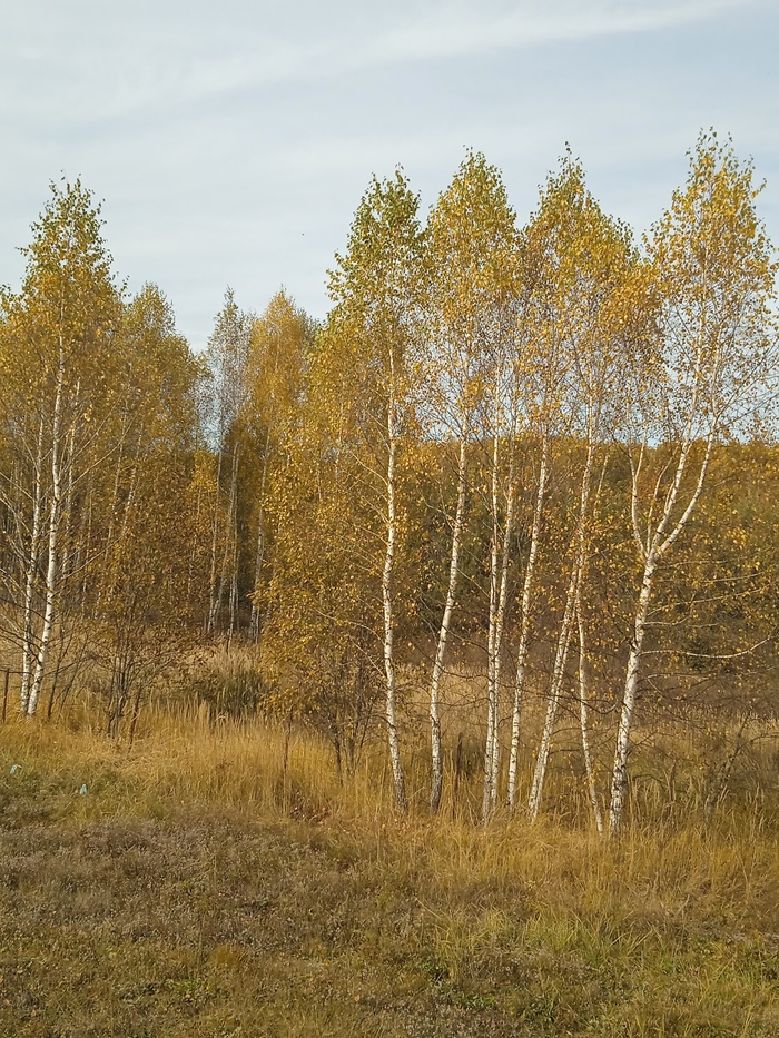 " Унылая пора! Очей очарованье!"