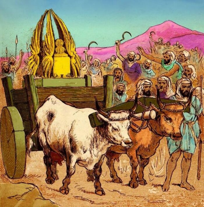 Любопытство несущее смерть