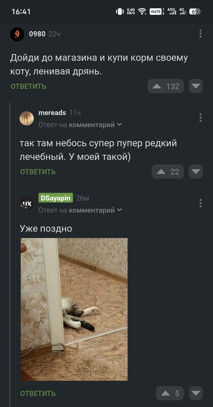 Ответ на пост «Официально, Яндекс не уважает котиков(»