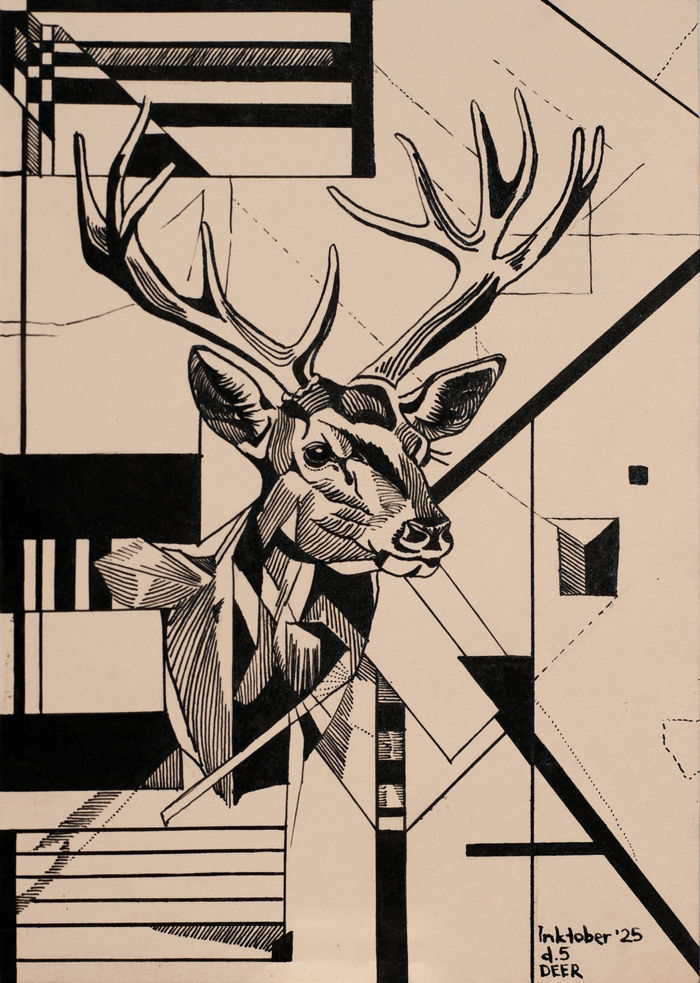 .  5. DEER