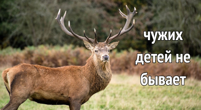 Почему в России треть мужчин воспитывает не своих детей