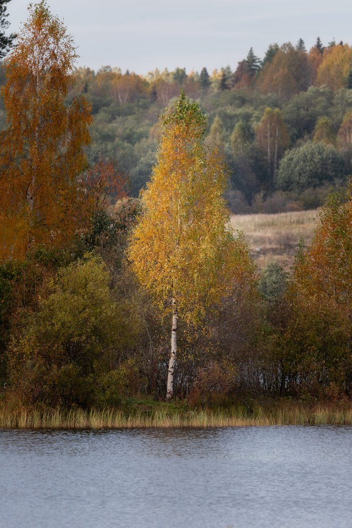 Осенняя Карелия