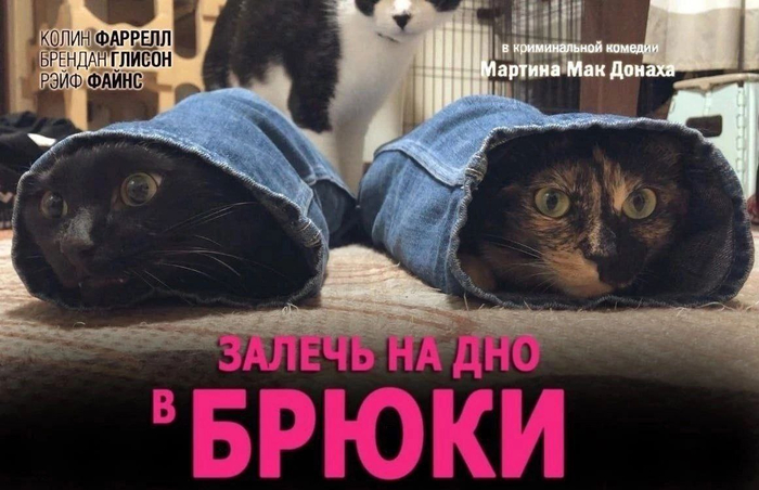 Остросюжетный боевик!