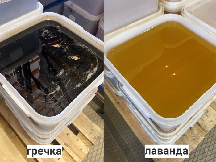 В разных регионах растут разные травы и деревья, цветение происходит в разное время. Поэтому мед везде разный, в России всего более 40 сортов. 