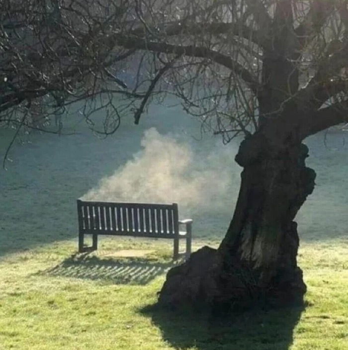 Редкий кадр