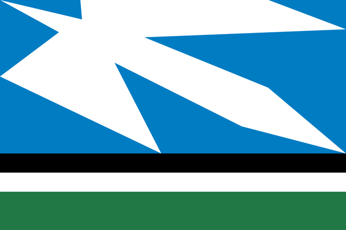 Флаг Новосокольников.