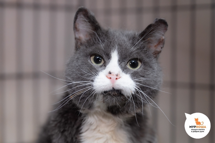  , 8 ,   .  , .        -   .  ,                .