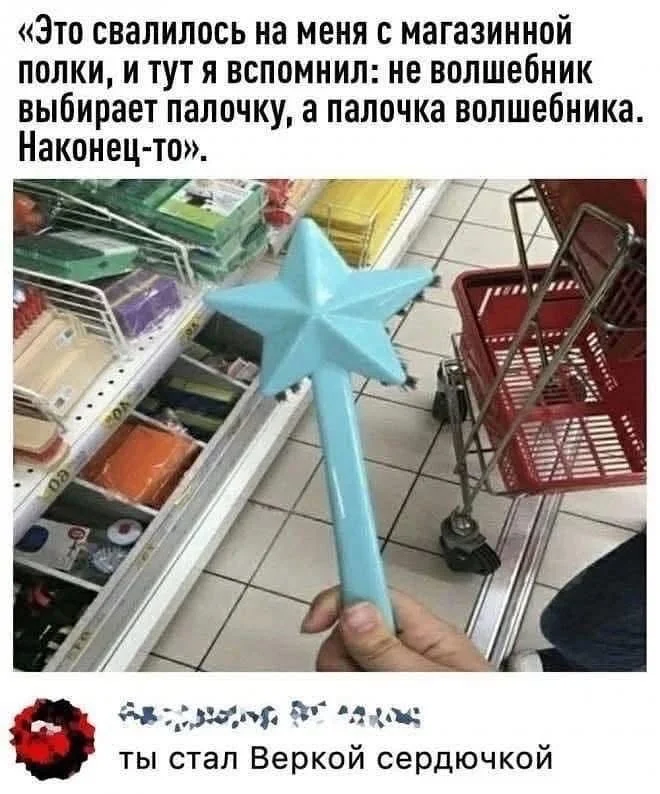 tk3vlv5l.webp