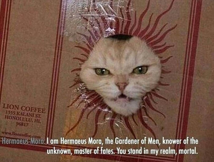 Я Хермеус Мора, Садовник людей, познавший неизвестное, властелин судеб. Ты стоишь в моем царстве, смертный