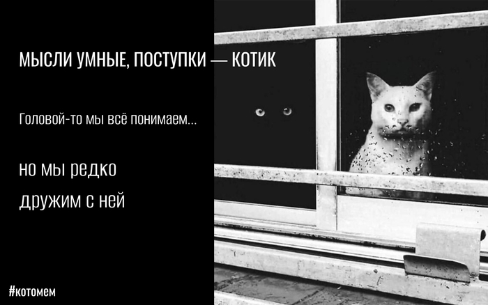 #�������