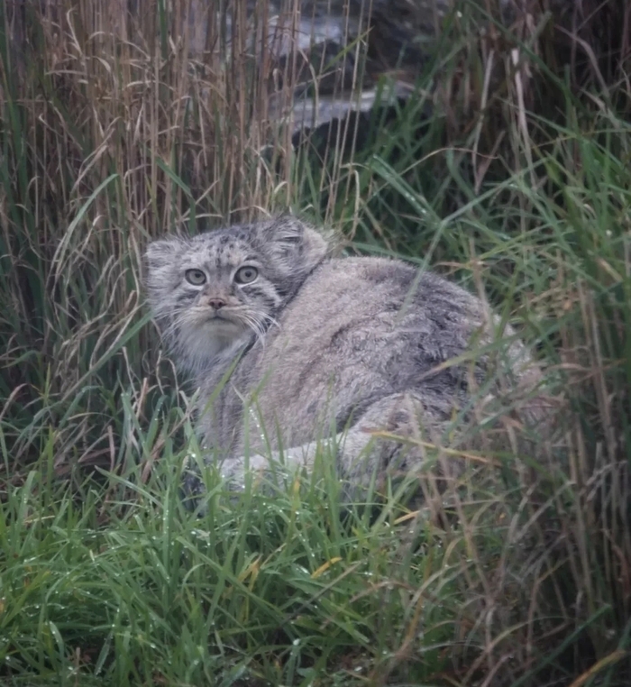 Не смотри на меня так