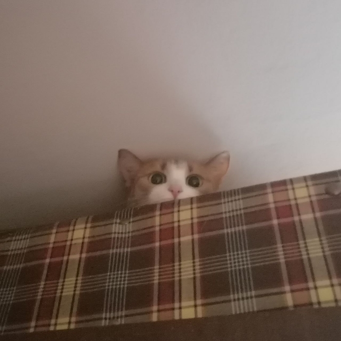 Ответ user10927439 в «Представьте, что вы вернулись в 15 лет, но сохранили все имеющиеся знания и опыт взрослой жизни. Что будете делать?»