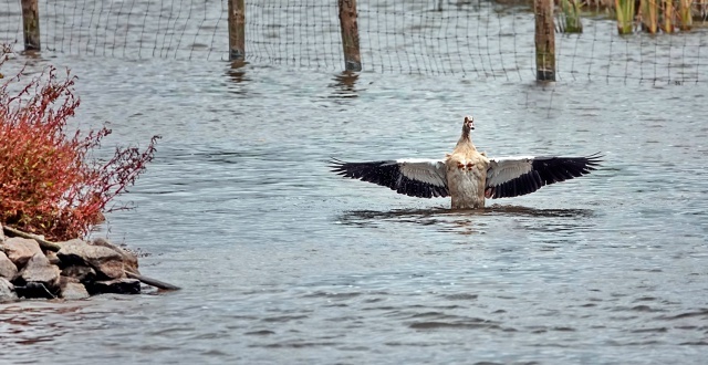 , ,    .     ,     .  ,     .