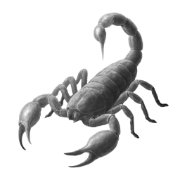 Sergmi