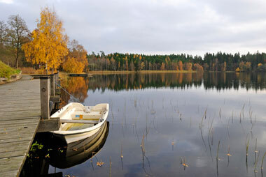 Осенняя рыбалка: какую рыбу ловить в сентябре-ноябре