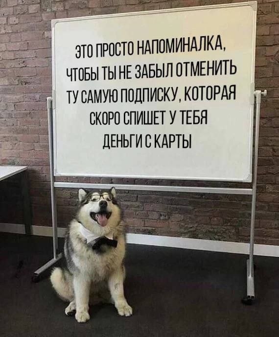 Без рейтинга