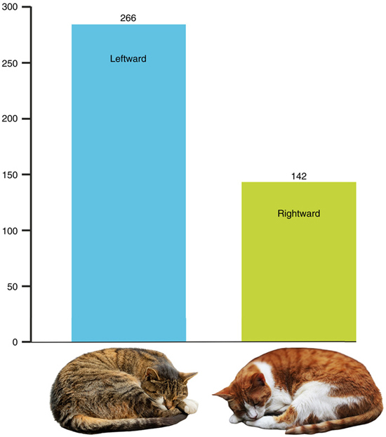 Схема: <!--noindex--><a href="https://pikabu.ru/story/nauka_obyasnila_pochemu_koshki_vyibirayut_spat_na_levom_boku_13270151?u=http%3A%2F%2Felementy.ru&t=elementy.ru&h=faf41a77f789fc7cbc03200db2f9b343cddb4eeb" title="http://elementy.ru" target="_blank" rel="nofollow noopener">elementy.ru</a><!--/noindex-->