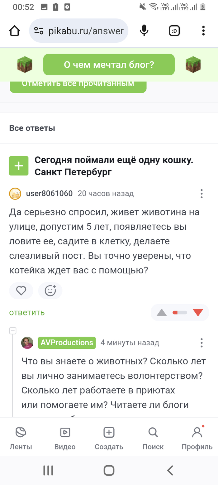О бездомных животных