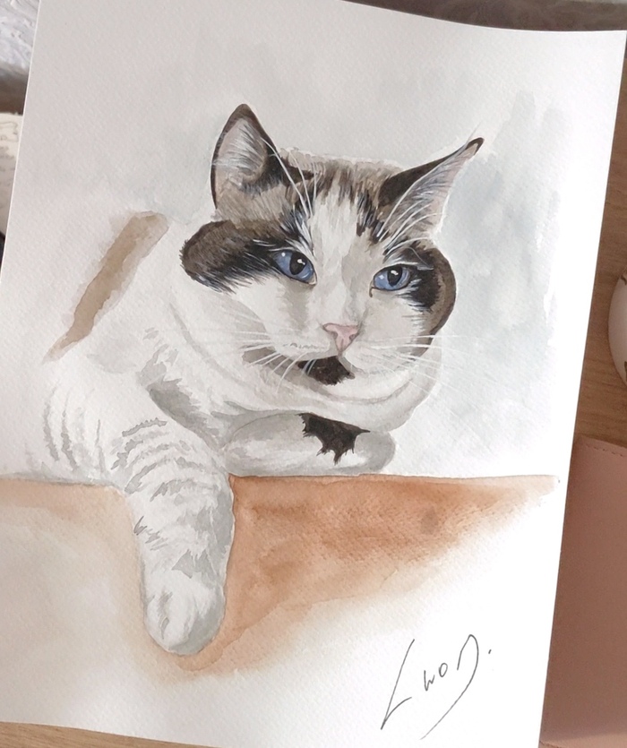  #92  -   !