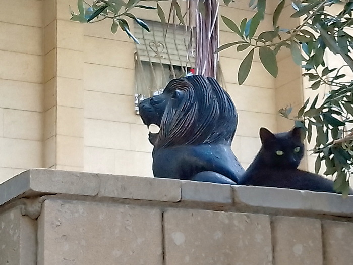 Ответ на пост «Рандеву»