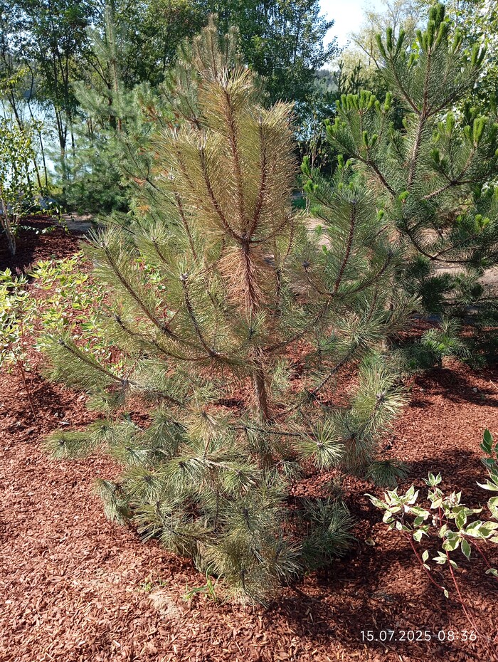   ,        &#x336;&#x336;&#x336;&#x336;&#x336;&#x336;&#x336; &#x336;&#x336;&#x336;&#x336;&#x336;&#x336;    