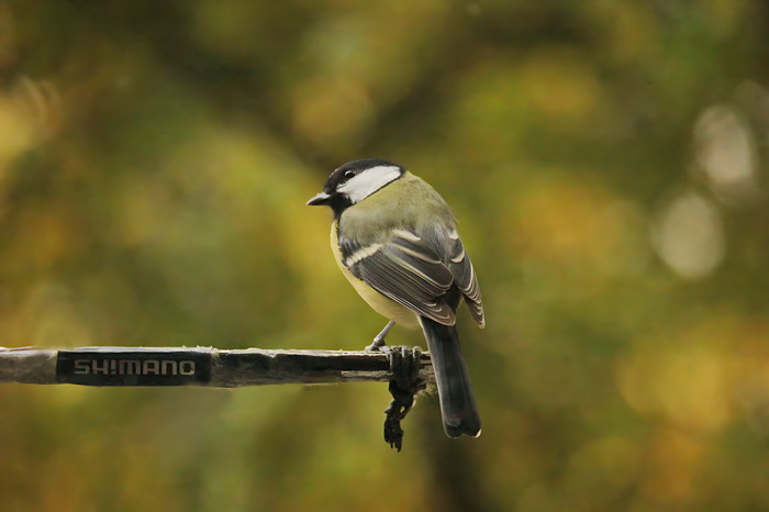 После посадки...