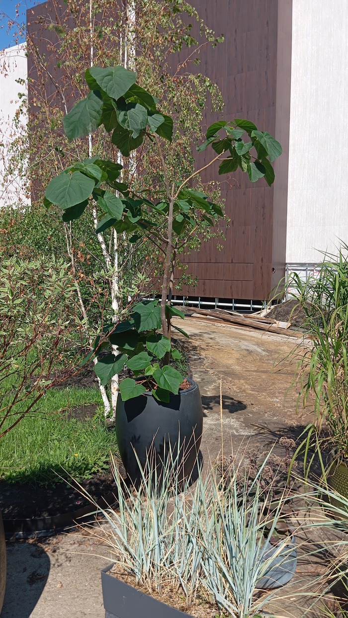 ��� ��� ���� �������� �������� � ������: ���������.