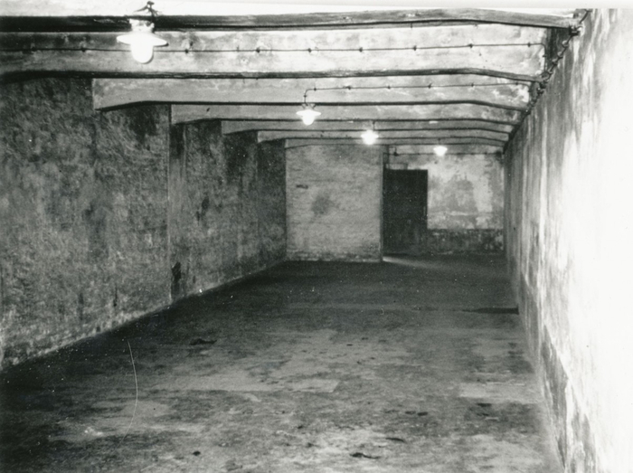 Искореженные страданием, вцепившиеся друг в друга окровавленные трупы были результатом его работы