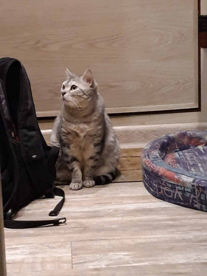 2020 , .     ,      , ,  ,             . 