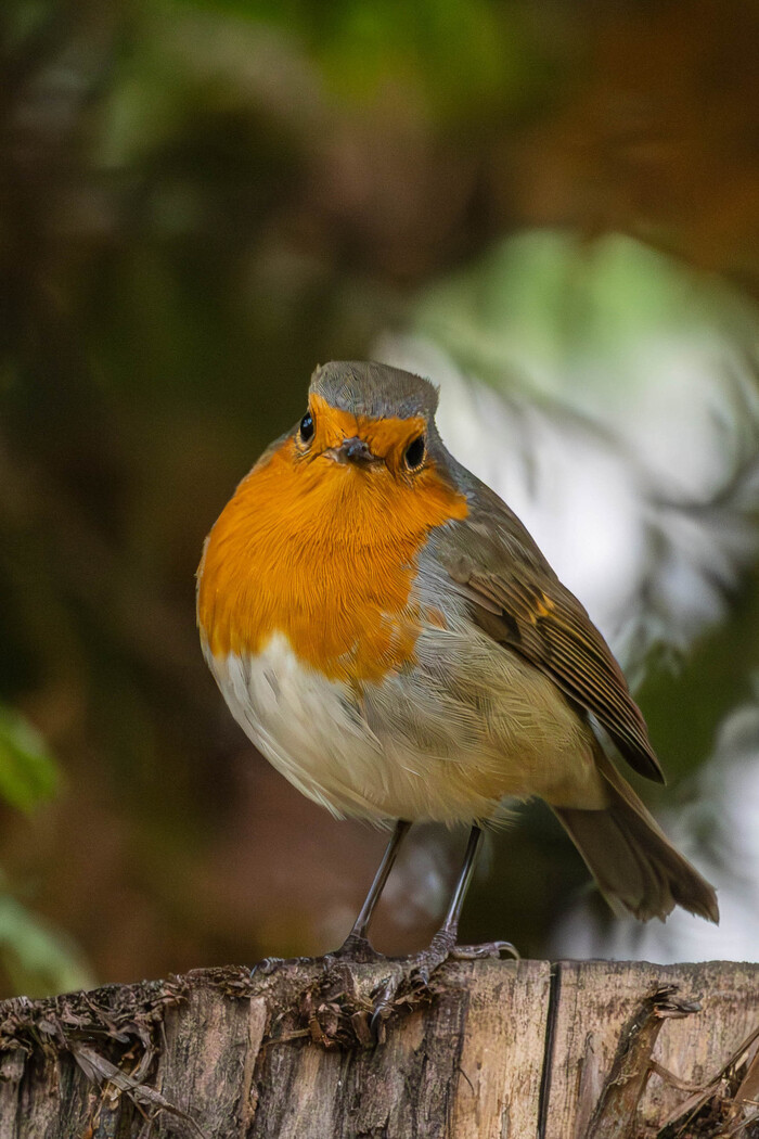 Ладно, смотри