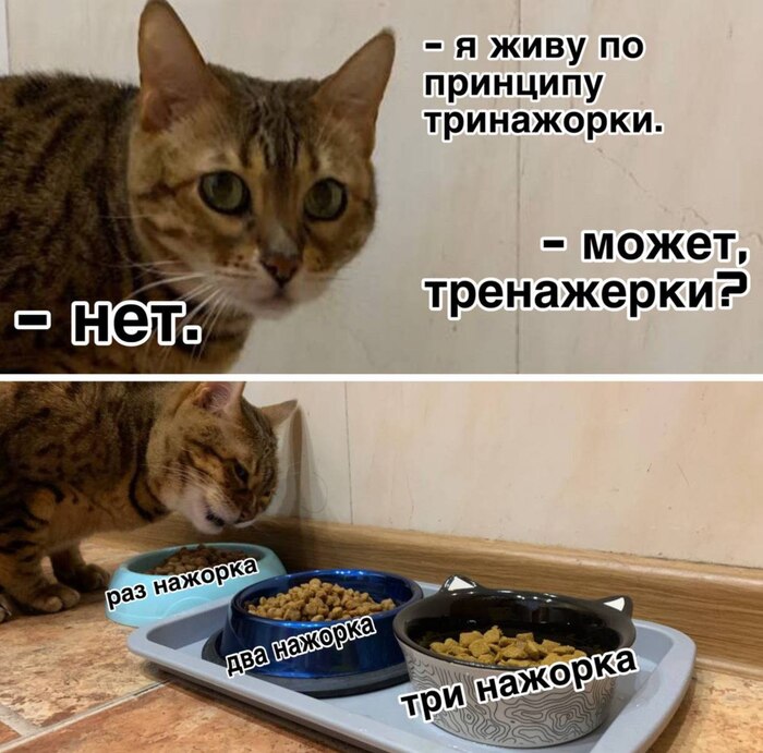 Тринажорка