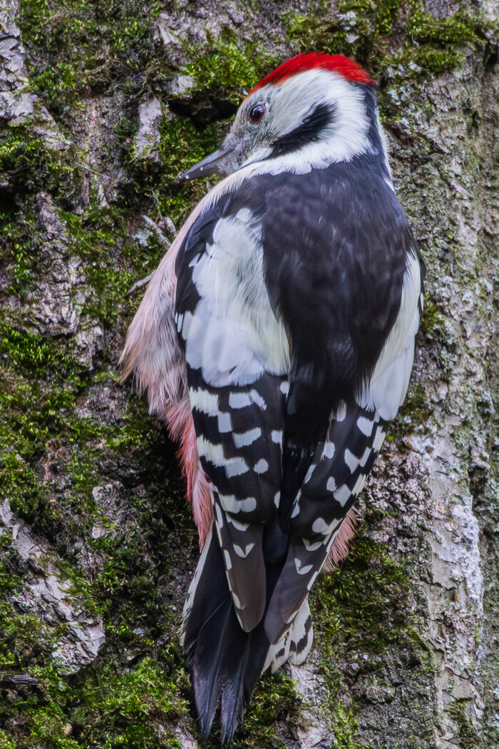 ������� ������ � ������ ������ ����� ��������� �������� �����, �� ��� � ���� ������ �� �� ����� �����. 