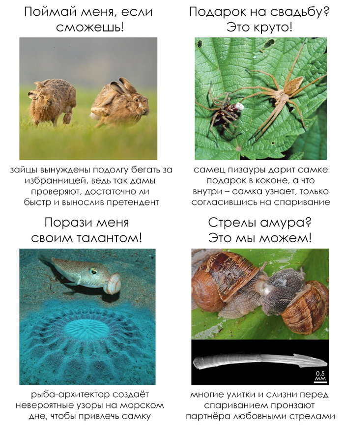 Школьные факты #59