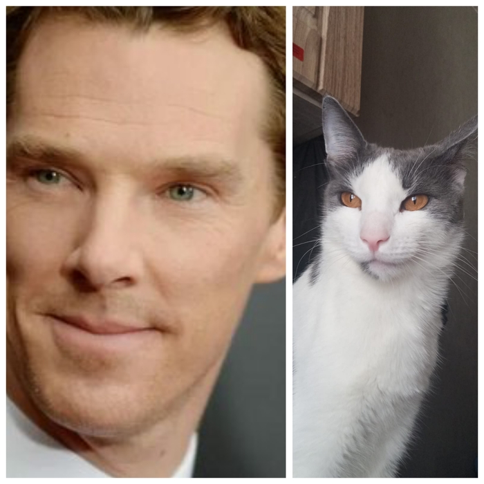 Похож или нет?