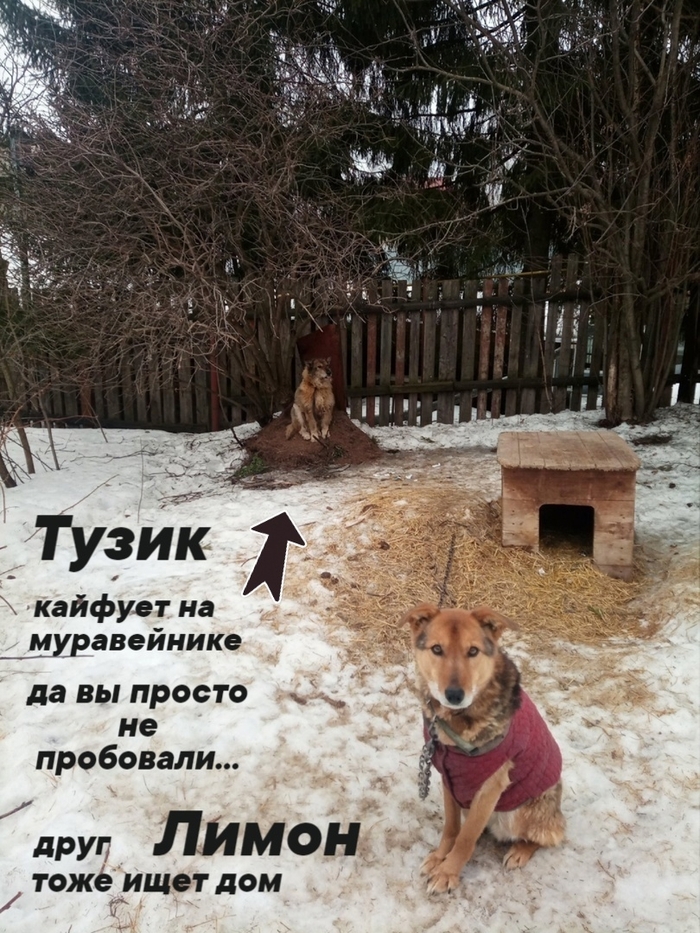 Года идут, а счастье лишь на передержке