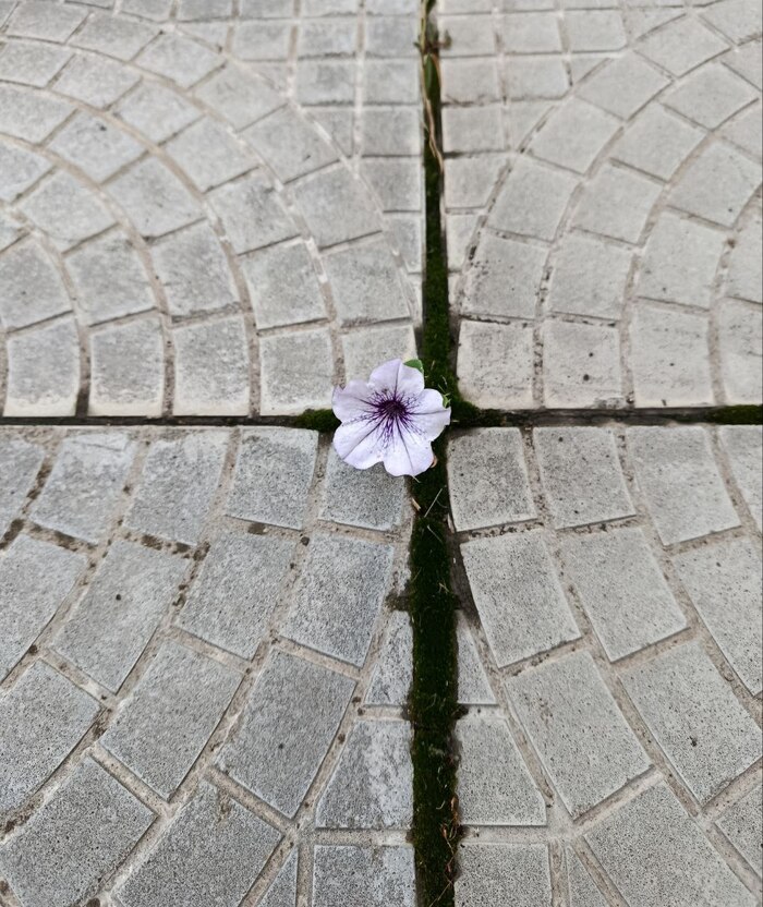 Жизнь - сила!