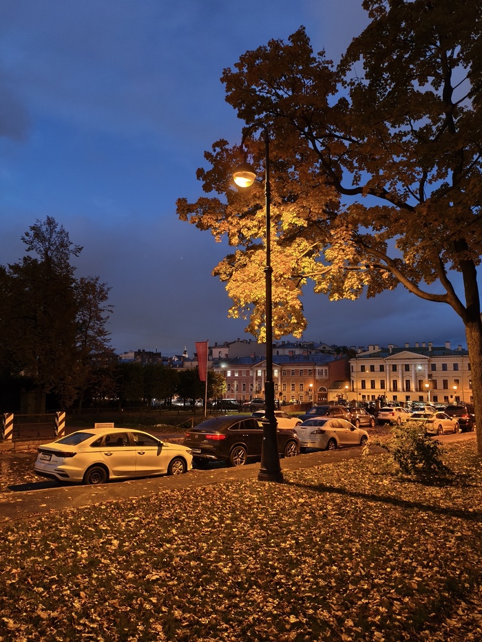 Одинокий фонарь в парке перед Михайловским парком