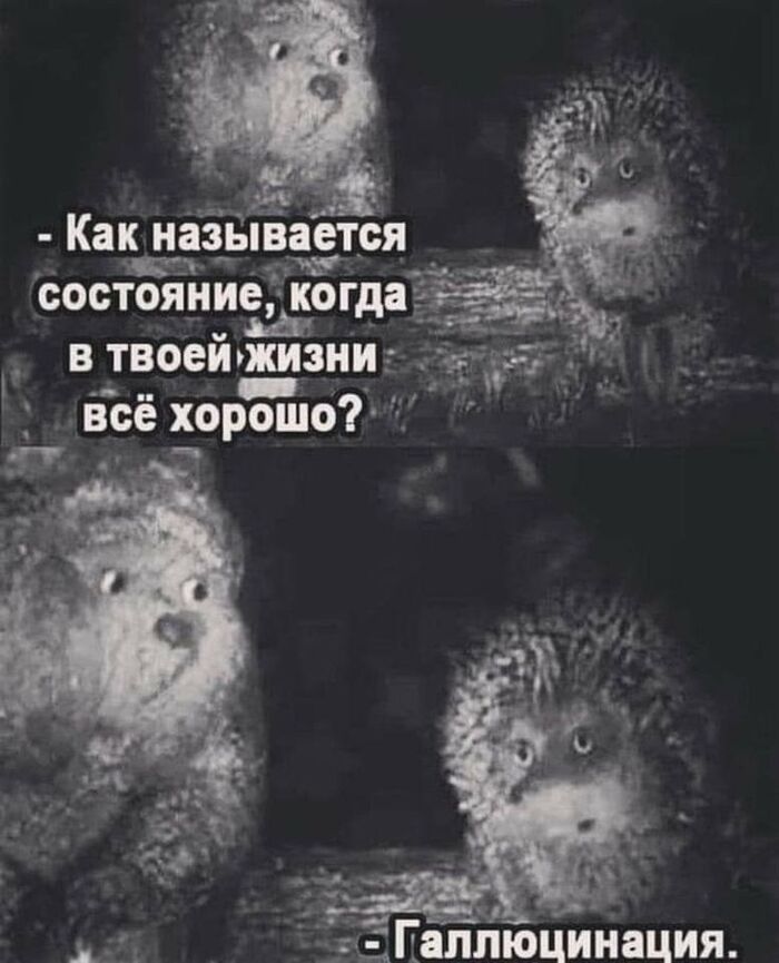 ��� � ����...