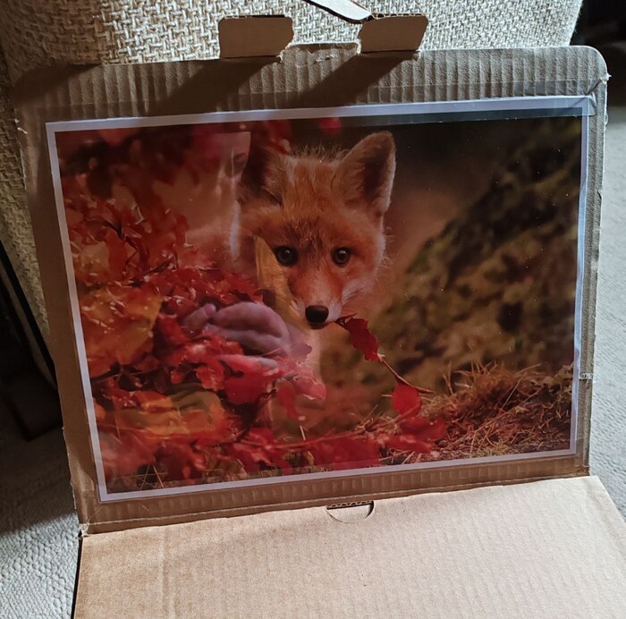 Теперь он ждет рамочку и отправится на стену