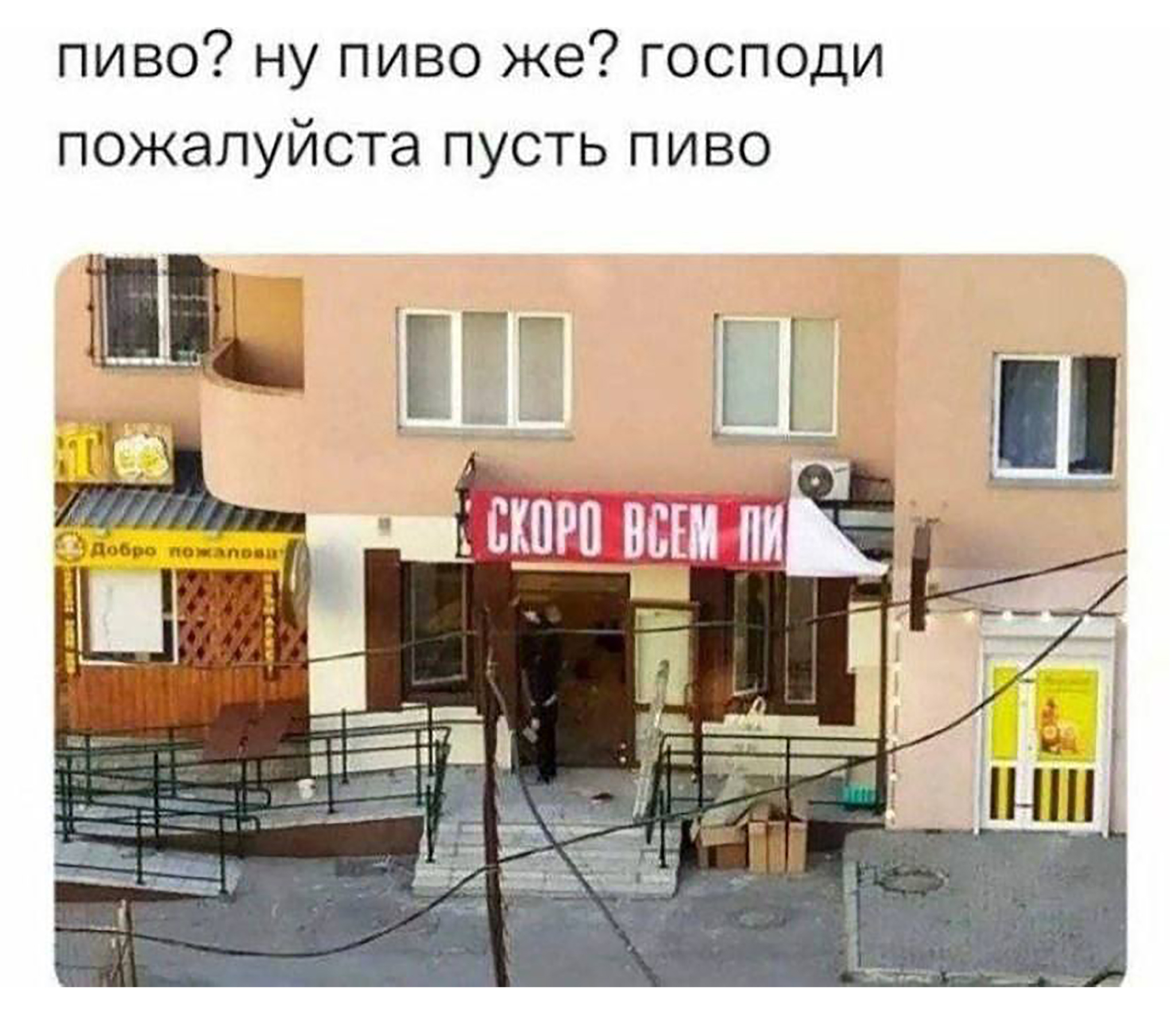 aeafkz6b_lg.jpg