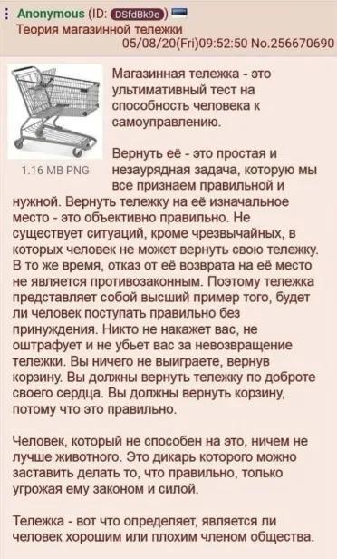 Теория магазинной тележки